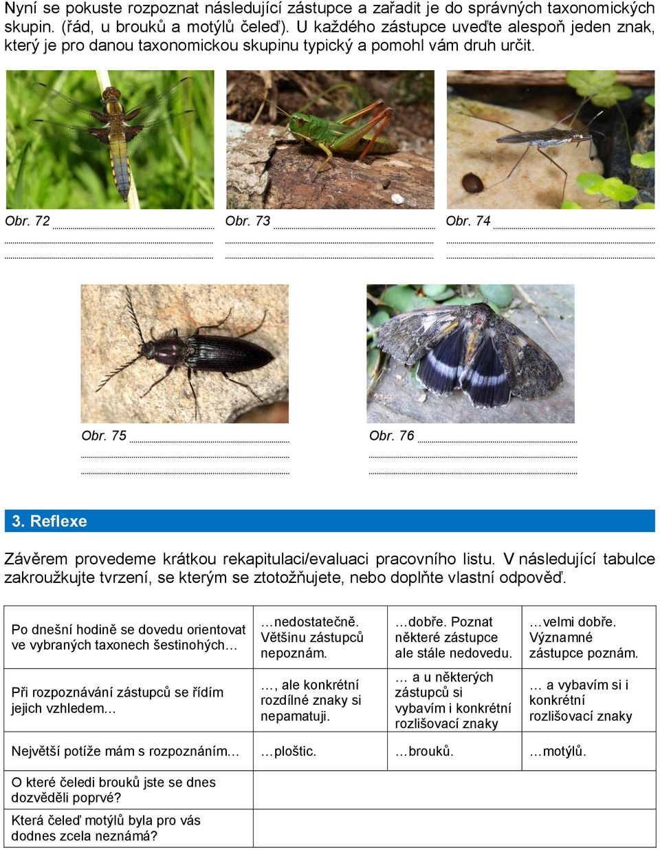 Reflexe Závěrem provedeme krátkou rekapitulaci/evaluaci pracovního listu. V následující tabulce zakrouţkujte tvrzení, se kterým se ztotoţňujete, nebo doplňte vlastní odpověď.