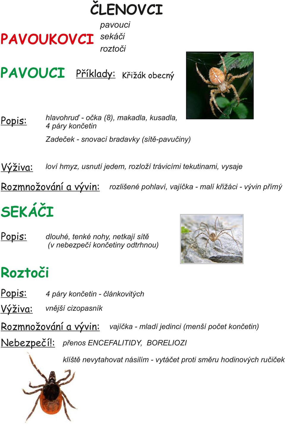 SEKÁČI Popis: dlouhé, tenké nohy, netkají sítě (v nebezpečí končetiny odtrhnou) Roztoči Popis: 4 páry končetin - článkovitých Výživa: vnější cizopasník Rozmnožování