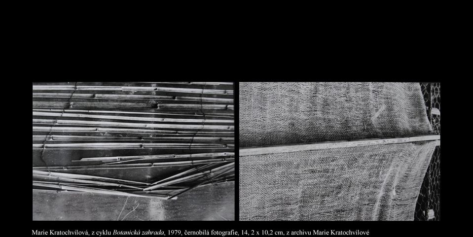 černobílá fotografie, 14, 2 x