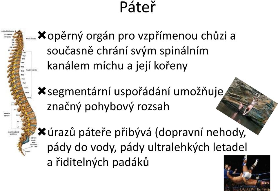 umožňuje značný pohybový rozsah úrazů páteře přibývá (dopravní