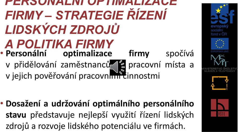 jejich pověřování pracovními činnostmi Dosažení a udržování optimálního personálního