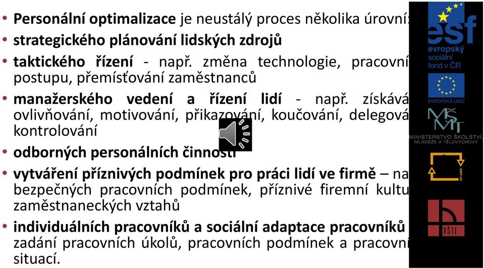 získávání, ovlivňování, motivování, přikazování, koučování, delegování, kontrolování odborných personálních činností vytváření příznivých podmínek pro