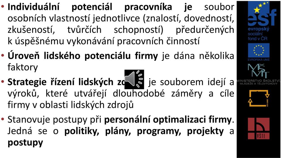 faktory Strategie řízení lidských zdrojů je souborem idejí a výroků, které utvářejí dlouhodobé záměry a cíle firmy v