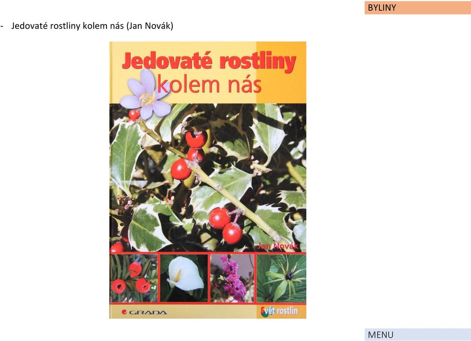 rostliny