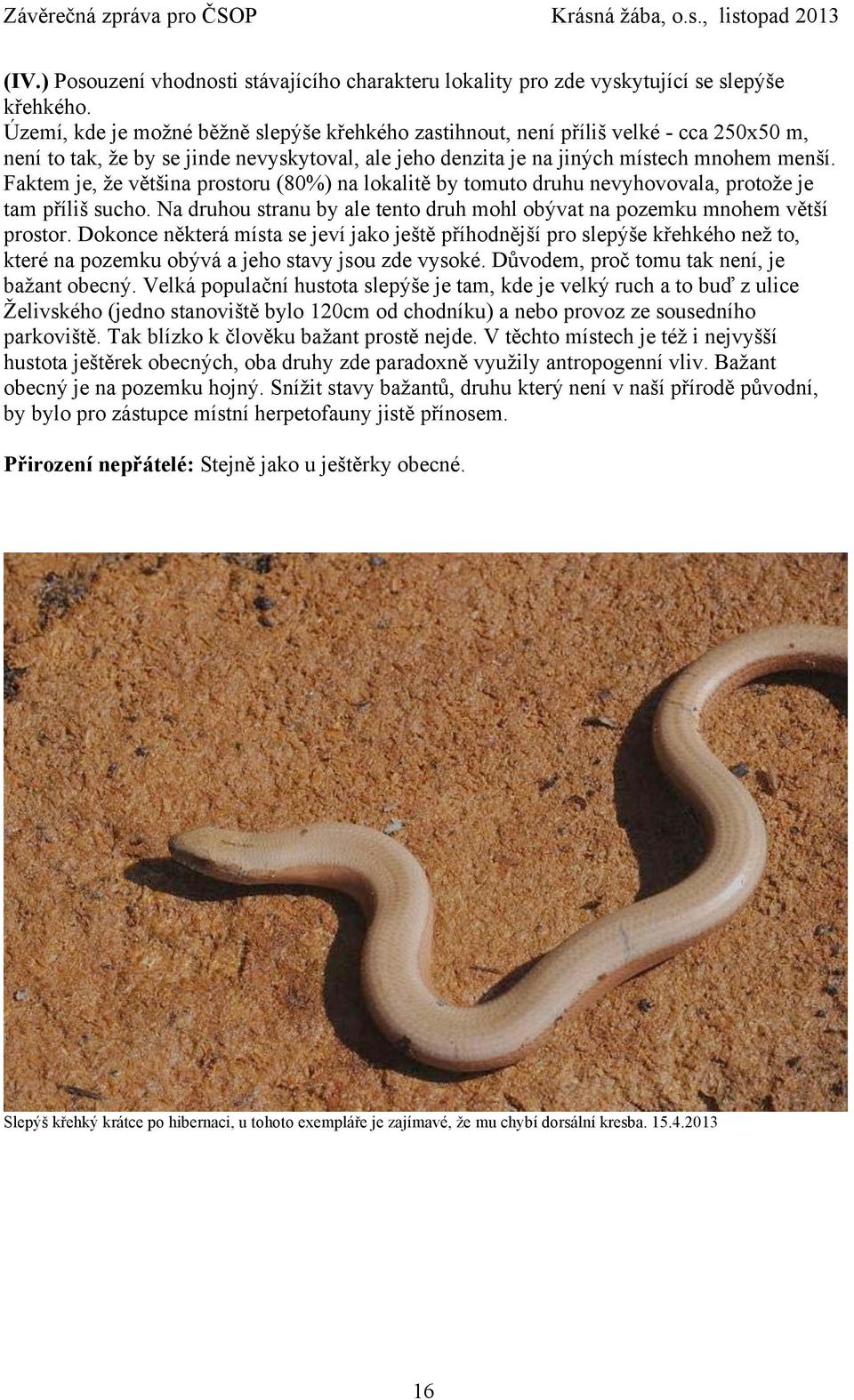 Faktem je, že většina prostoru (80%) na lokalitě by tomuto druhu nevyhovovala, protože je tam příliš sucho. Na druhou stranu by ale tento druh mohl obývat na pozemku mnohem větší prostor.