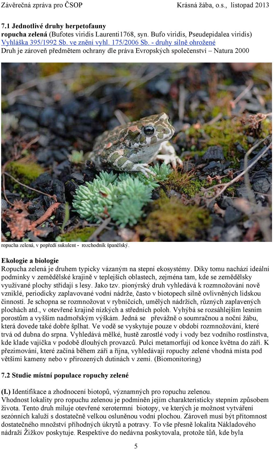 Ekologie a biologie Ropucha zelená je druhem typicky vázaným na stepní ekosystémy.