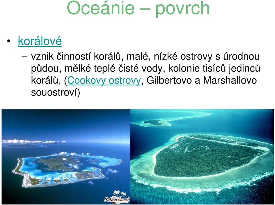 čisté vody, kolonie tisíců jedinců korálů,