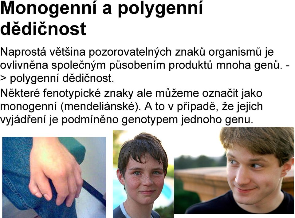 > polygenní dědičnost.