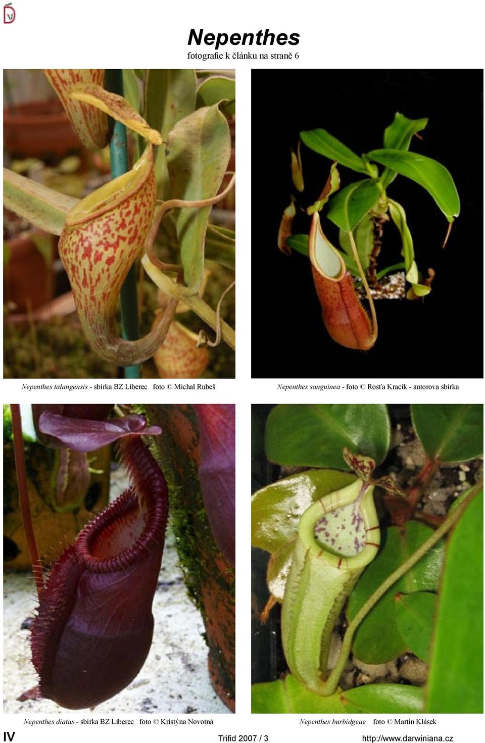 autorova sbírka Nepenthes diatas - sbírka BZ Liberec foto Kristýna Novotná