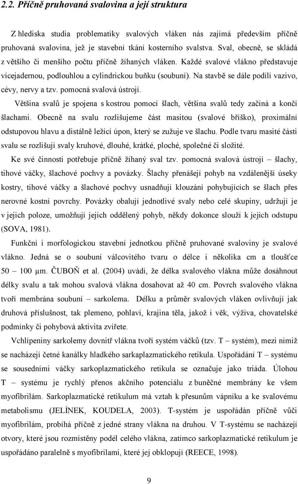 Na stavbě se dále podílí vazivo, cévy, nervy a tzv. pomocná svalová ústrojí. Většina svalů je spojena s kostrou pomocí šlach, většina svalů tedy začíná a končí šlachami.
