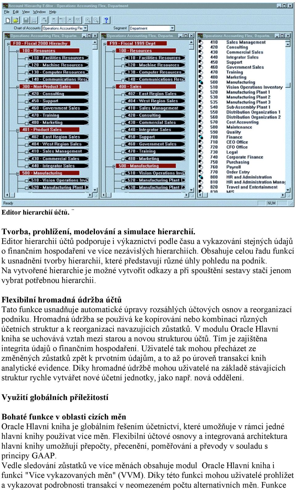 Obsahuje celou řadu funkcí k usnadnění tvorby hierarchií, které představují různé úhly pohledu na podnik.