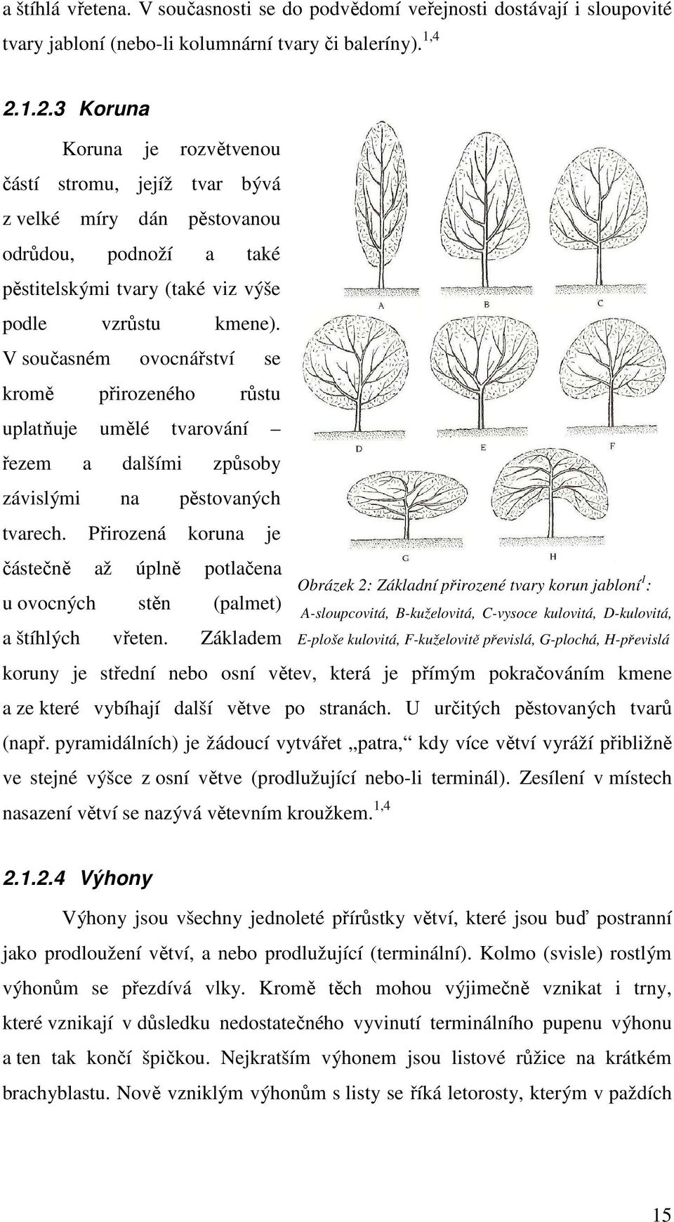 V současném ovocnářství se kromě přirozeného růstu uplatňuje umělé tvarování řezem a dalšími způsoby závislými na pěstovaných tvarech.