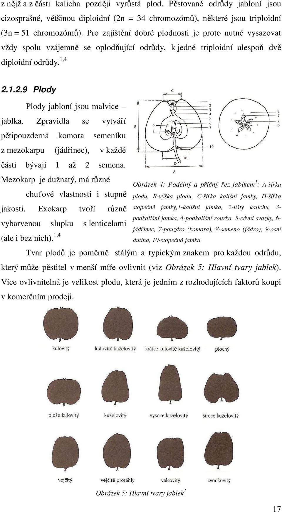 Zpravidla se vytváří pětipouzderná komora semeníku z mezokarpu (jádřinec), v každé části bývají 1 až 2 semena. Mezokarp je dužnatý, má různé chuťové vlastnosti i stupně jakosti.