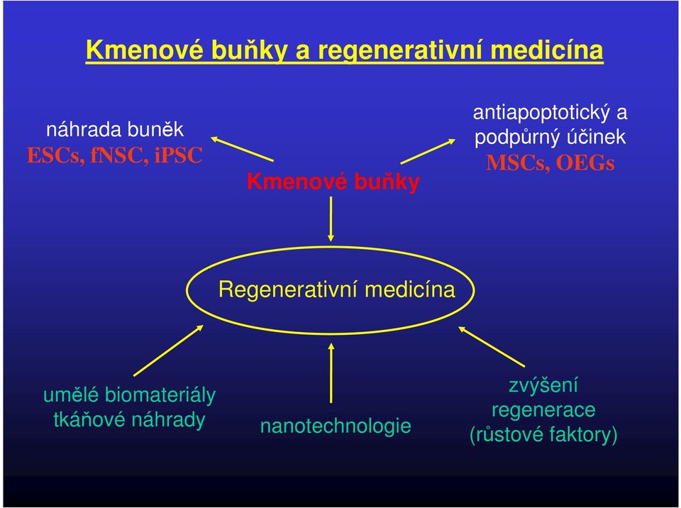 MSCs, OEGs Regenerativní medicína umělé biomateriály