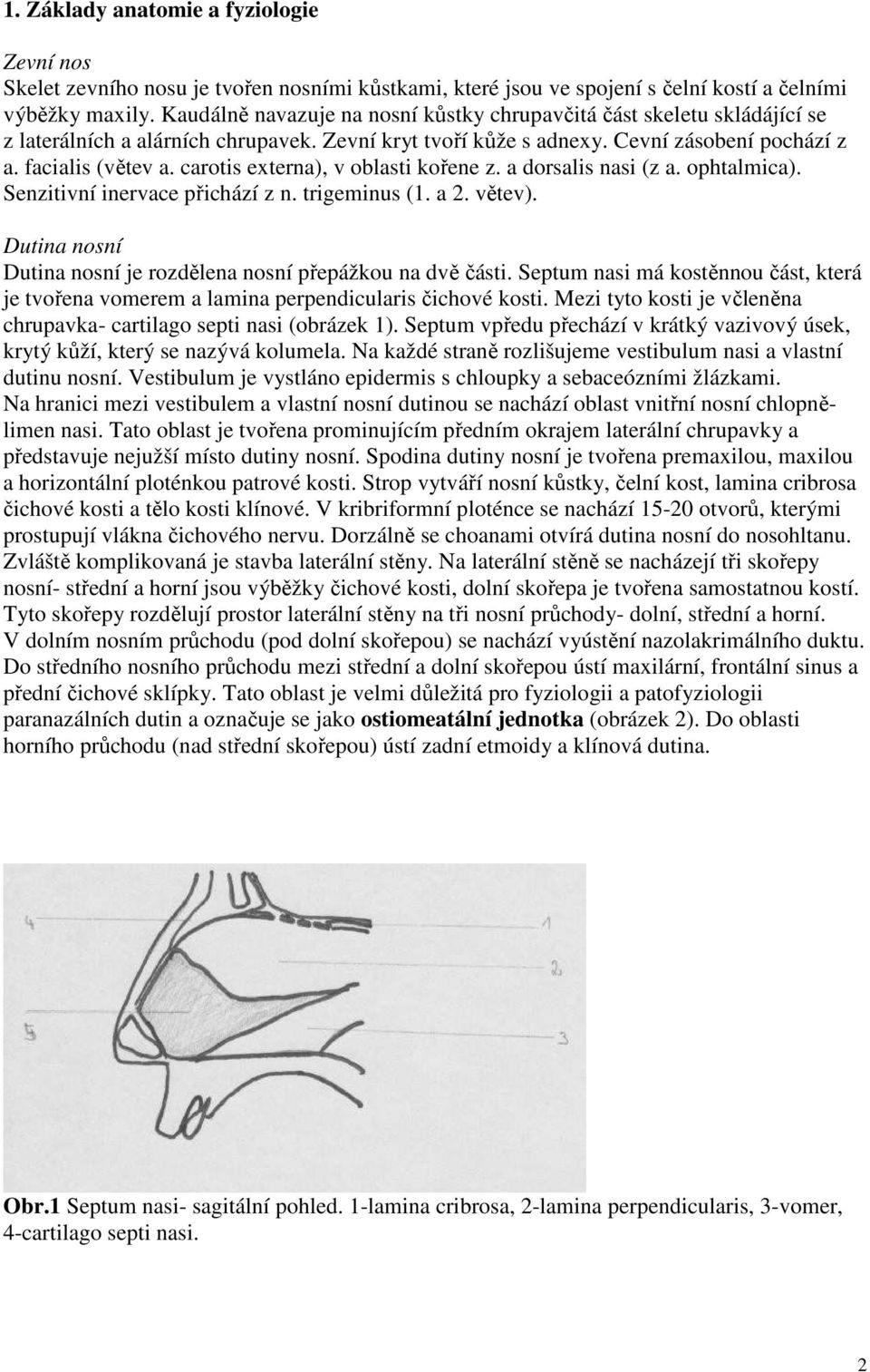 carotis externa), v oblasti kořene z. a dorsalis nasi (z a. ophtalmica). Senzitivní inervace přichází z n. trigeminus (1. a 2. větev).