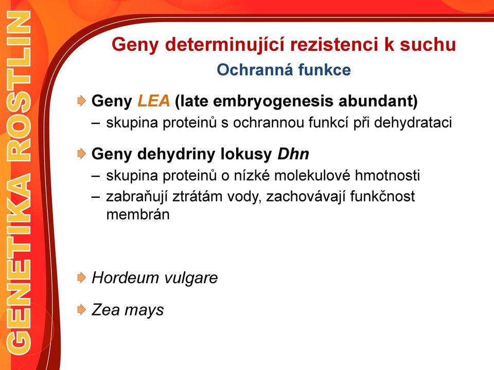 dehydrataci Geny dehydriny lokusy Dhn skupina proteinů o nízké molekulové