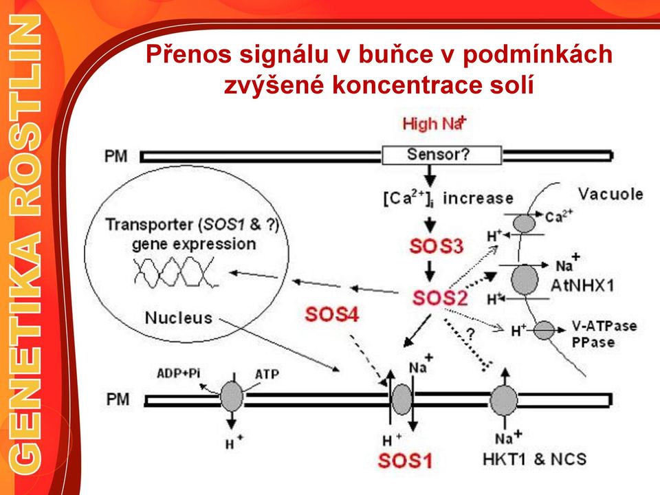 podmínkách