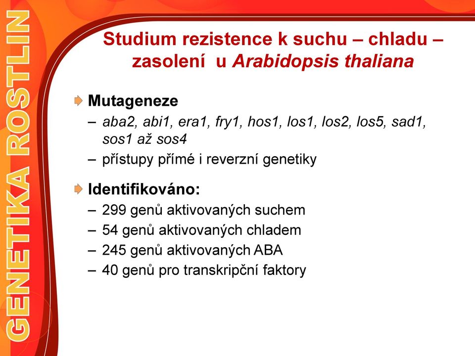 přímé i reverzní genetiky Identifikováno: 299 genů aktivovaných suchem 54