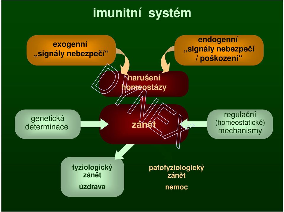 genetická determinace zánět regulační (homeostatické)