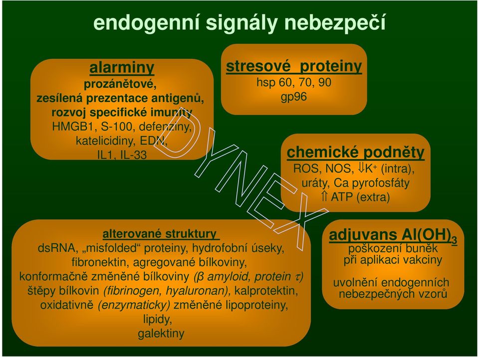 hydrofobní úseky, fibronektin, agregované bílkoviny, konformačně změněné bílkoviny (β amyloid, protein τ) štěpy bílkovin (fibrinogen, hyaluronan), kalprotektin,