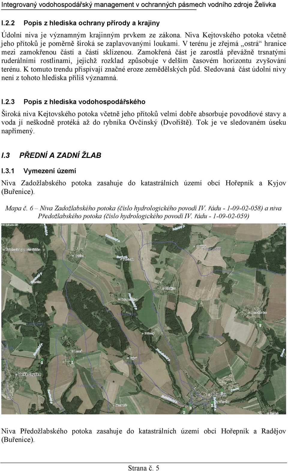 Zamokřená část je zarostlá převážně trsnatými ruderálními rostlinami, jejichž rozklad způsobuje v delším časovém horizontu zvyšování terénu. K tomuto trendu přispívají značné eroze zemědělských půd.