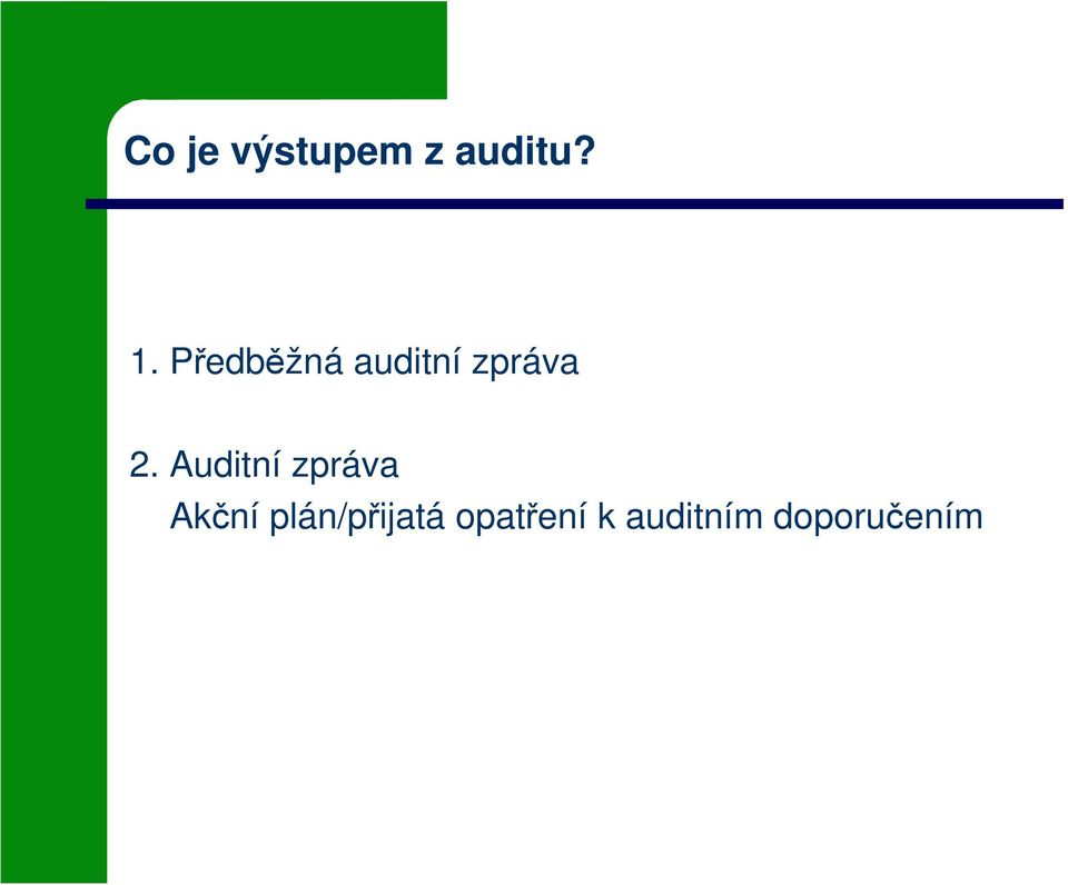 Auditní zpráva Akční