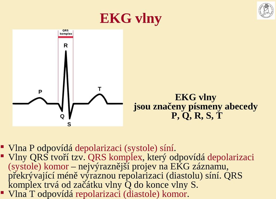 QRS komplex, který odpovídá depolarizaci (systole) komor nejvýraznější projev na EKG záznamu,