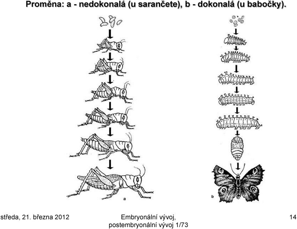 sarančete), b -