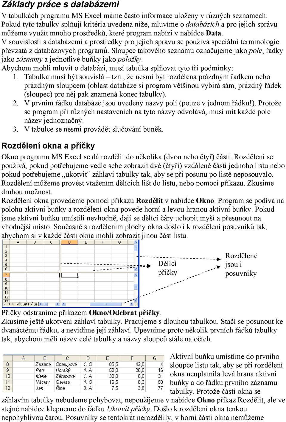 V souvislosti s databázemi a prostředky pro jejich správu se používá speciální terminologie převzatá z databázových programů.