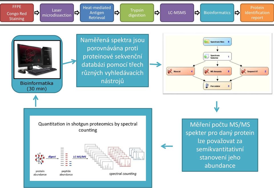 jsou porovnávána proti proteinové sekvenční databázi pomocí třech různých vyhledávacích nástrojů