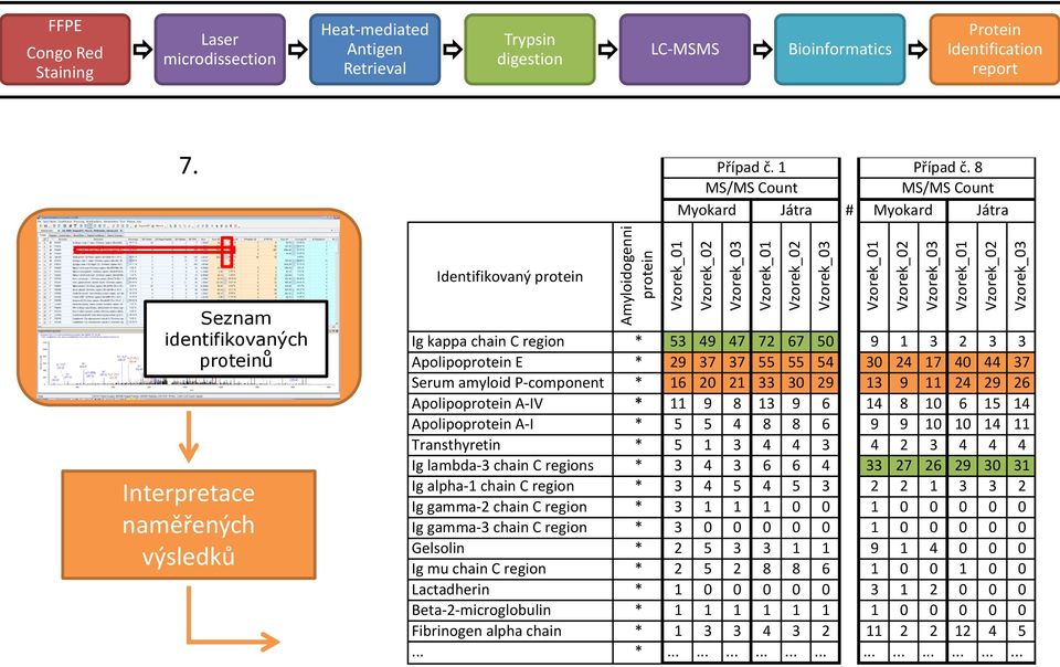 8 MS/MS Count MS/MS Count Myokard Játra # Myokard Játra Identifikovaný protein Seznam identifikovaných proteinů Interpretace naměřených výsledků Ig kappa chain C region * 53 49 47 72 67 50 9 1 3 2 3