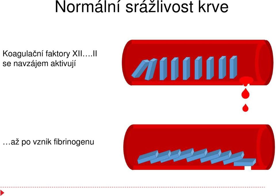 XII.II se navzájem