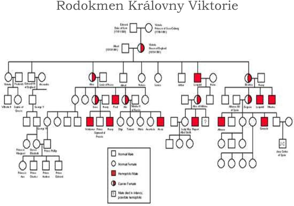 Viktorie