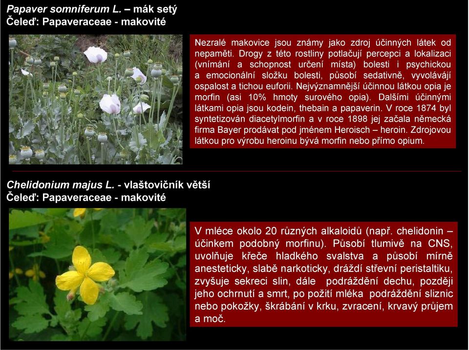Nejvýznamnější účinnou látkou opia je morfin (asi 10% hmoty surového opia). Dalšími účinnými látkami opia jsou kodein, thebain a papaverin.
