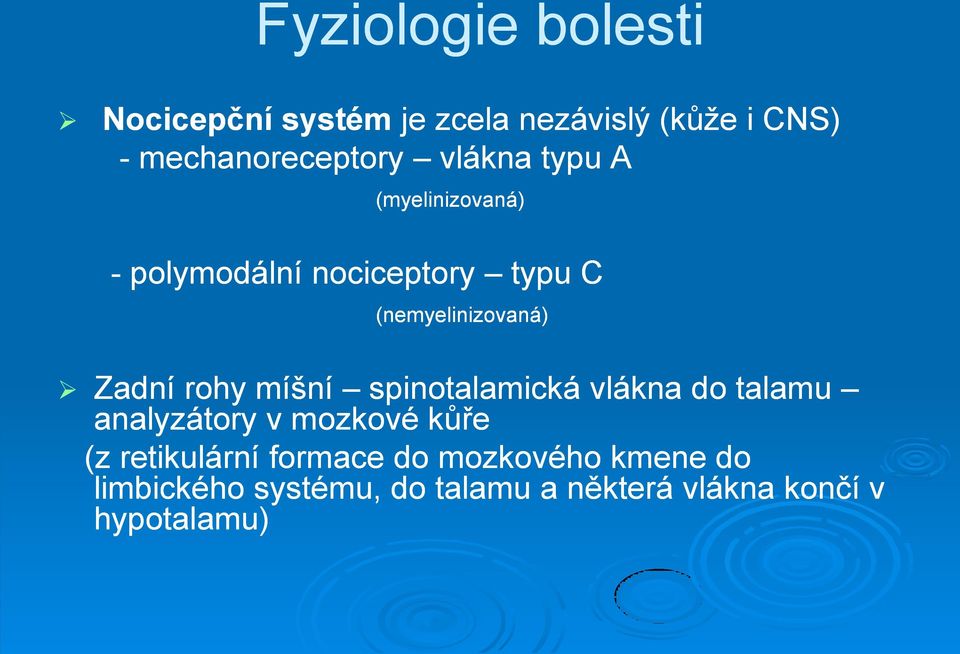 rohy míšní spinotalamická vlákna do talamu analyzátory v mozkové kůře (z retikulární