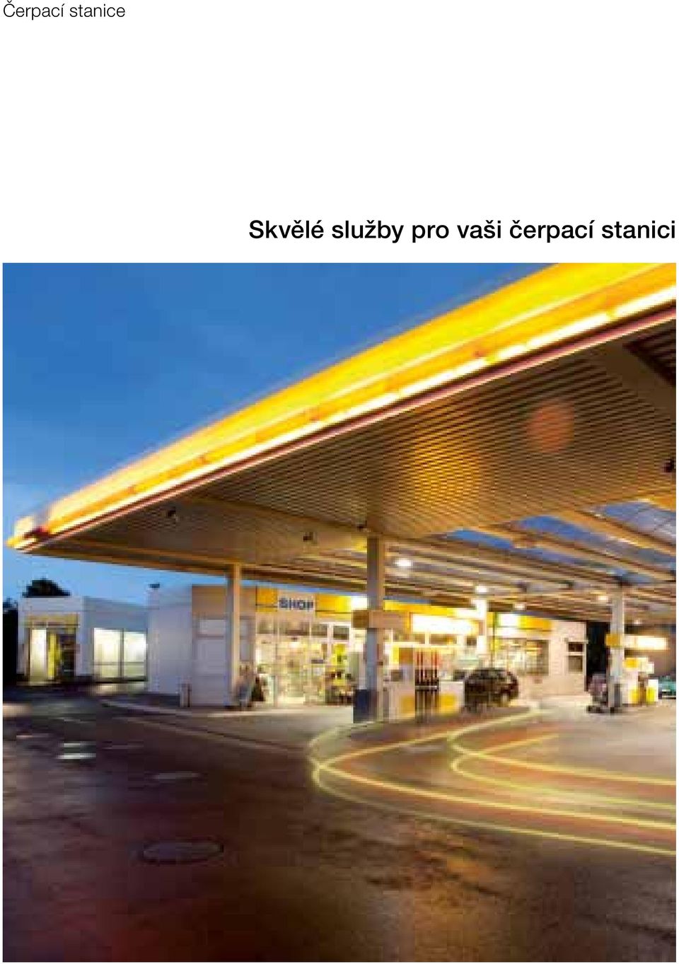 Skvělé služby