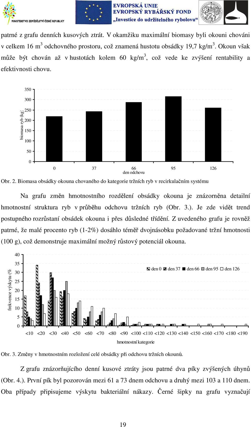 0 200 150 100 50 0 0 37 66 95 126 den odchovu Obr. 2. Biomasa obsádky okouna chovaného do kategorie tržních ryb v recirkulačním systému Na grafu změn hmotnostního rozdělení obsádky okouna je