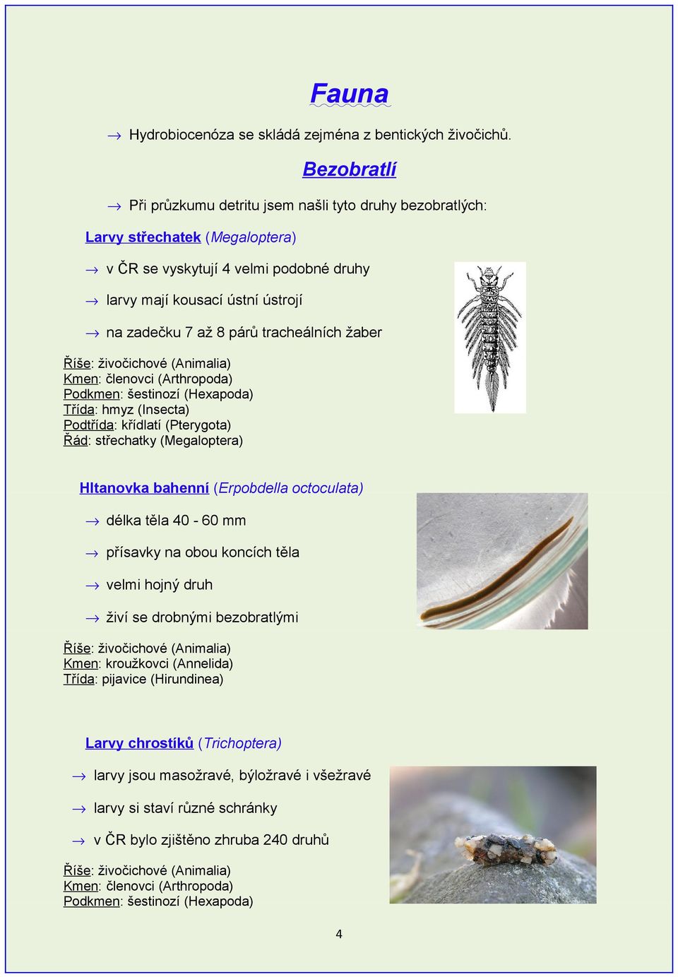 tracheálních žaber Kmen: členovci (Arthropoda) Podkmen: šestinozí (Hexapoda) Třída: hmyz (Insecta) Podtřída: křídlatí (Pterygota) Řád: střechatky (Megaloptera) Hltanovka bahenní (Erpobdella