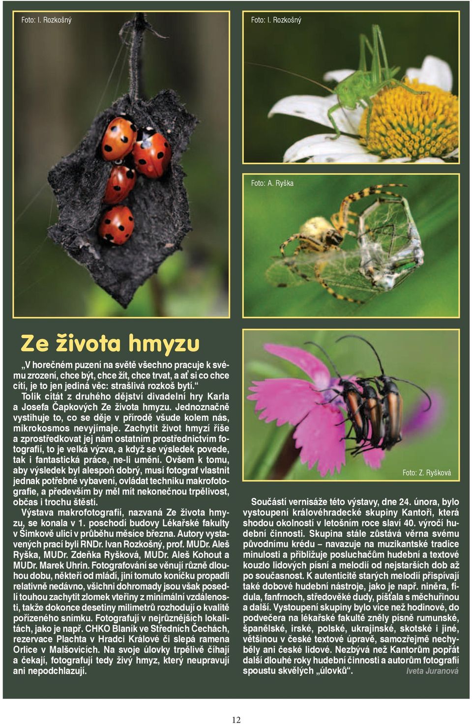 Tolik citát z druhého dìjství divadelní hry Karla a Josefa Èapkových Ze života hmyzu. Jednoznaènì vystihuje to, co se dìje v pøírodì všude kolem nás, mikrokosmos nevyjímaje.