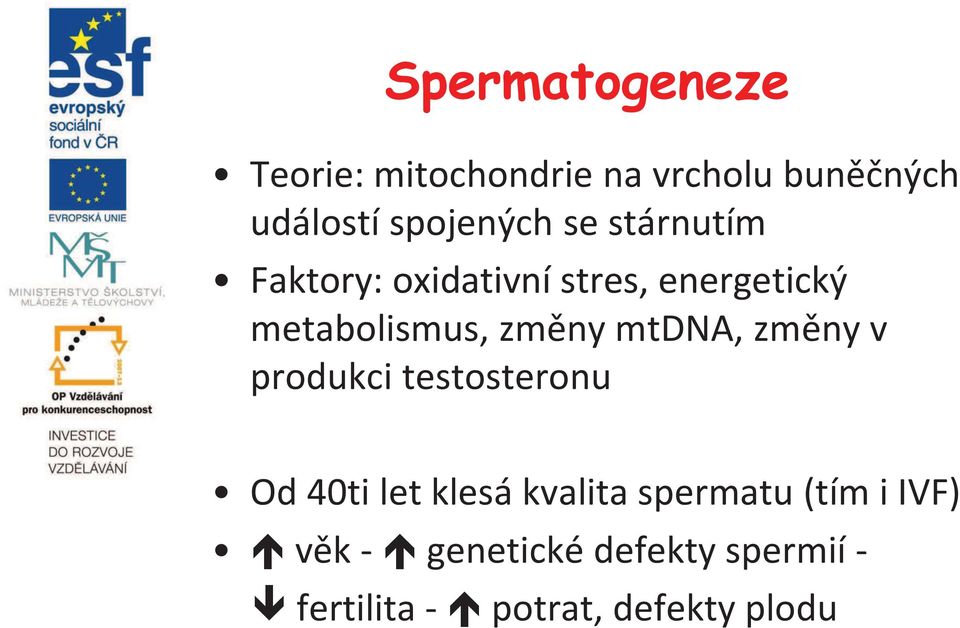 mtdna, změny v produkci testosteronu Od 40ti let klesá kvalita spermatu (tím