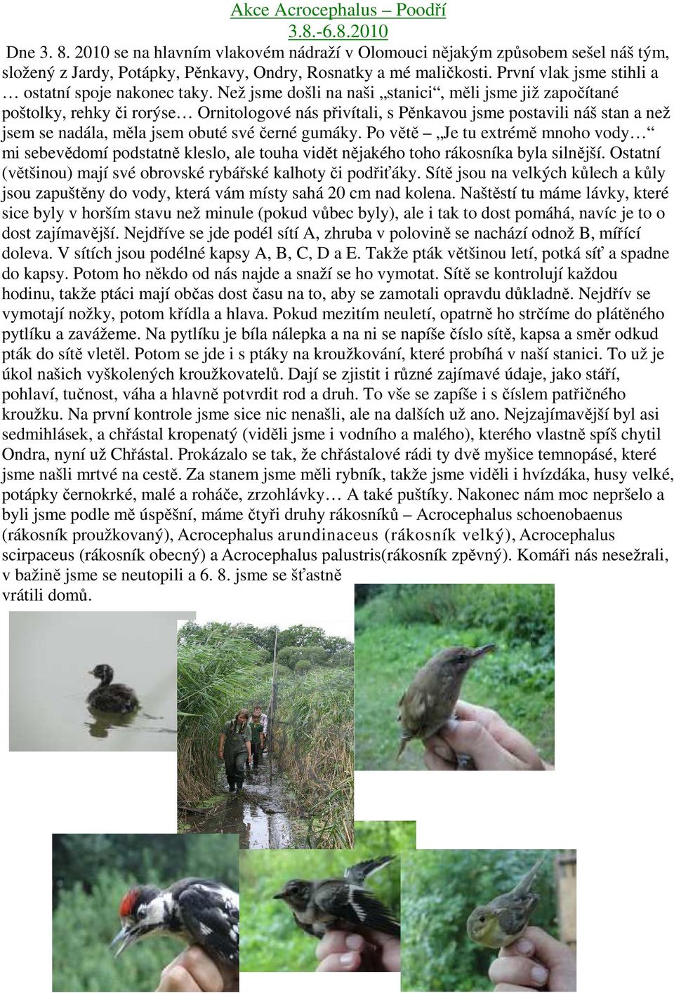 Než jsme došli na naši stanici, měli jsme již započítané poštolky, rehky či rorýse Ornitologové nás přivítali, s Pěnkavou jsme postavili náš stan a než jsem se nadála, měla jsem obuté své černé