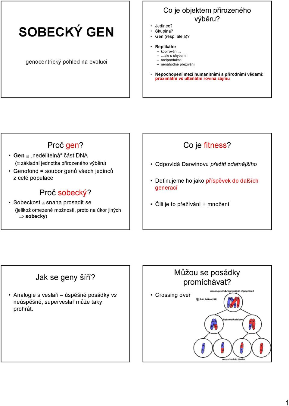 Gen nedělitelná část DNA ( základní jednotka přirozeného výběru) Genofond = soubor genů všech jedinců z celé populace Proč sobecký?