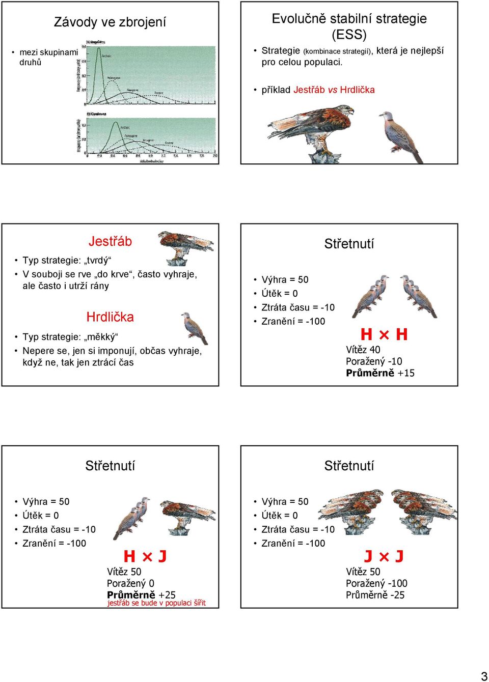 příklad Jestřáb vs Hrdlička Jestřáb Typ strategie: tvrdý V souboji se rve do krve, často vyhraje, ale často i utrží rány Hrdlička Typ