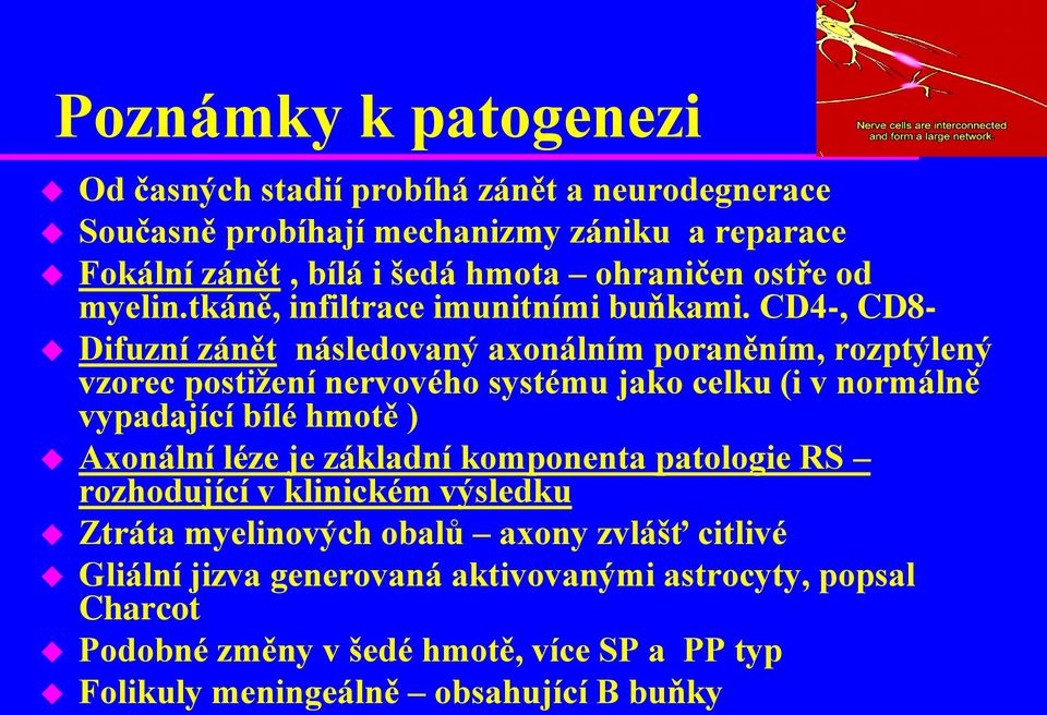 CD4-, CD8- Difuzní zánět následovaný axonálním poraněním, rozptýlený vzorec postižení nervového systému jako celku (i v normálně vypadající bílé hmotě ) Axonální