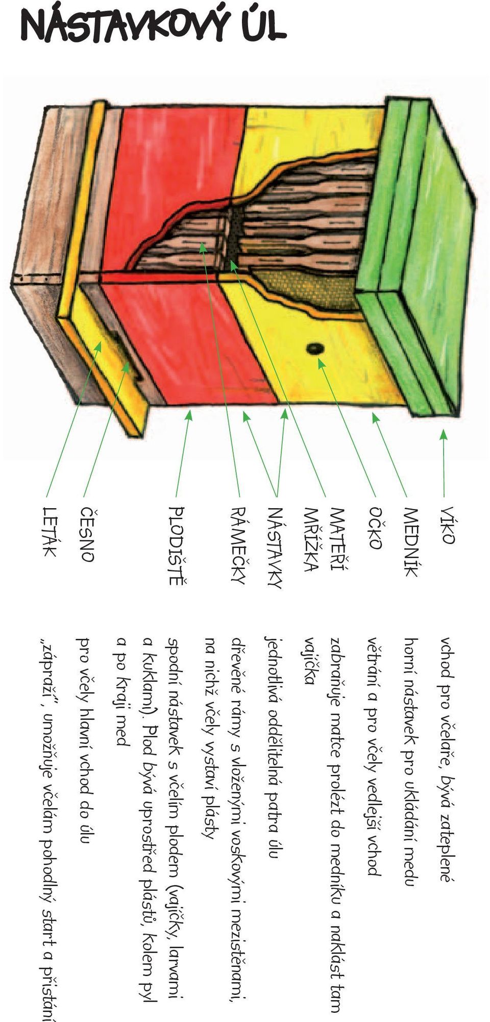 vloženými voskovými mezistěnami, na nichž včely vystaví plásty PLODIŠTĚ spodní nástavek s včelím plodem (vajíčky, larvami a kuklami).