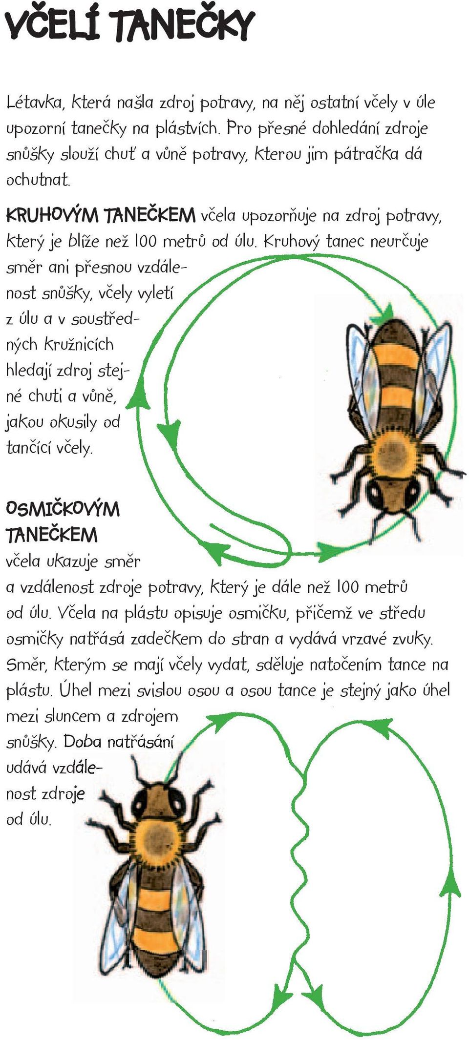 Kruhový tanec neurčuje směr ani přesnou vzdálenost snůšky, včely vyletí z úlu a v soustředných kružnicích hledají zdroj stejné chuti a vůně, jakou okusily od tančící včely.