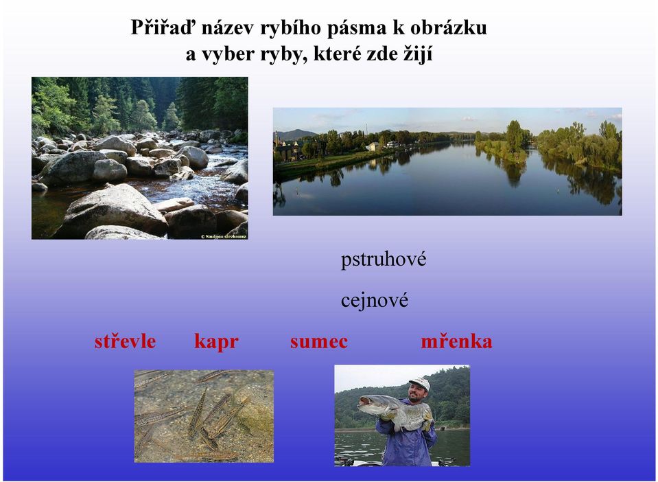 které zde žijí pstruhové