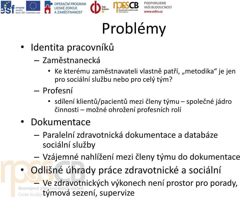 Profesní sdílení klientů/pacientů mezi členy týmu společné jádro činnosti možné ohrožení profesních rolí Dokumentace