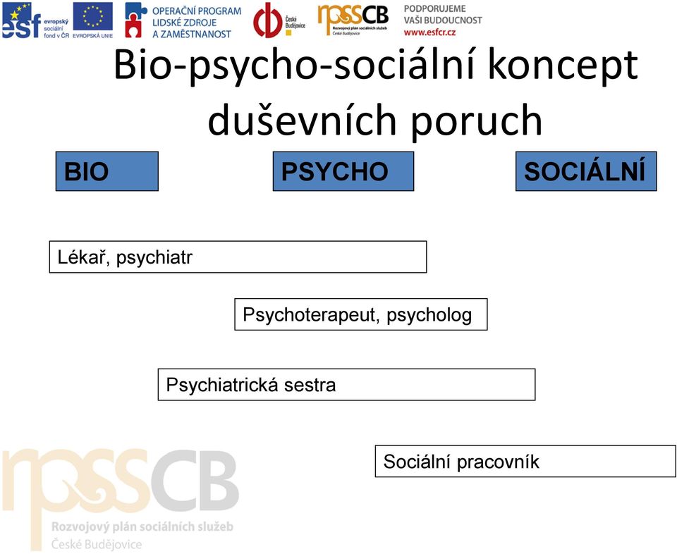 Lékař, psychiatr Psychoterapeut,