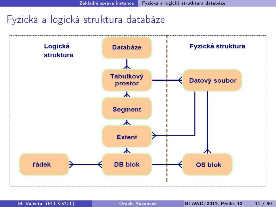 strutktura databáze M.